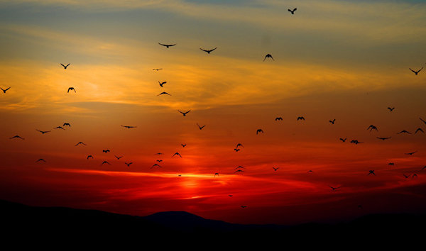 allah-our-only-sanctuary